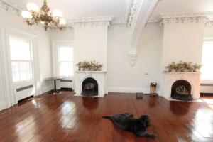 OASIS TLC’S home on the former Coe Estate in Middletown dates back to the 1700s. The Lafayette Room is used for special occasions and a yoga class that is offered to the public. The house mascot, Sawyer, takes a rest in the center of the room. --Scott Longfield 