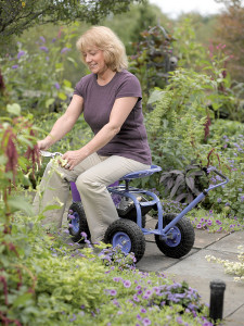 For gardeners who have trouble kneeling or bending, a garden scooter is a way to keep in the game. The Garden Tractor Scoot with adjustable seat is available at the Gardener’s Supply website for for $90.