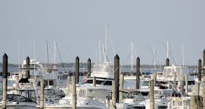 Enhancing Our Estuary