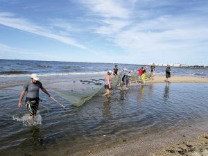 Volunteers, including Mitch Mickley, far left, a field technician with the New York-New Jersey Baykeeper group, haul in a seine to see what they caught in it at Sandy Hook Bay in Atlantic Highlands.