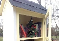 A Little Library That Could