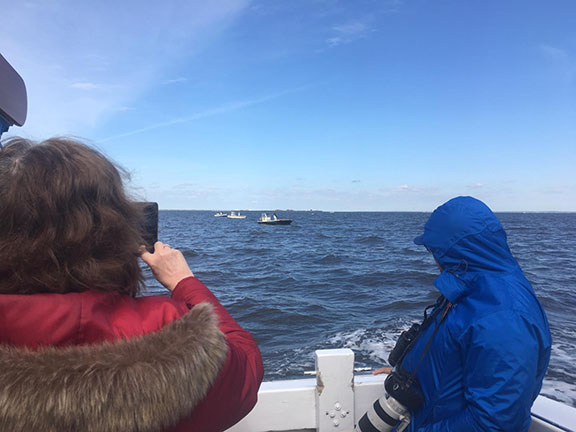 About 40 bird-watchers paid $40 each to take a three-hour tour on The Mariner