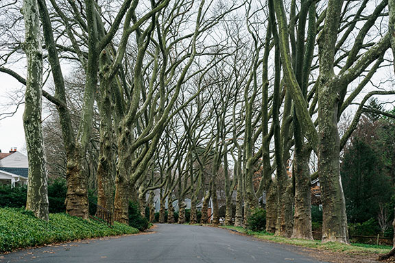 Buttonwood Drive, Fair Haven