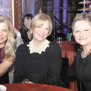 03/12/20, COUNT BASIE CENTER FOR THE ARTS WARMED UP THE STAGE FOR WINTER CHILL EVENT, Patty Gemmel-Tait, Jill Gemmel, Pauline Poyner
