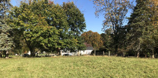 Placement of a wasterwater pump station and a genera- tor at a proposed Holmdel dementia center are the latest sticking points for the development slated for the Potter’s Farm property.