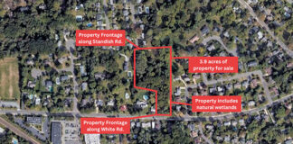 A wooded, undeveloped 3.9-acre parcel along White Road in Little Silver is for sale for $2.8 million. Residents have asked the borough to consider purchasing the property and preserving it.