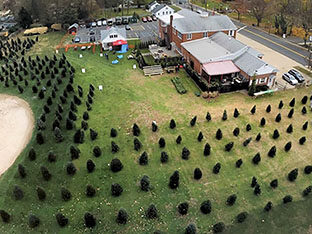 The Little Silver Fire Department can fit up to 1,000 Christmas trees on its lot, above; the Tinton Falls Fire Department has space for around 500 trees. Courtesy LSFD