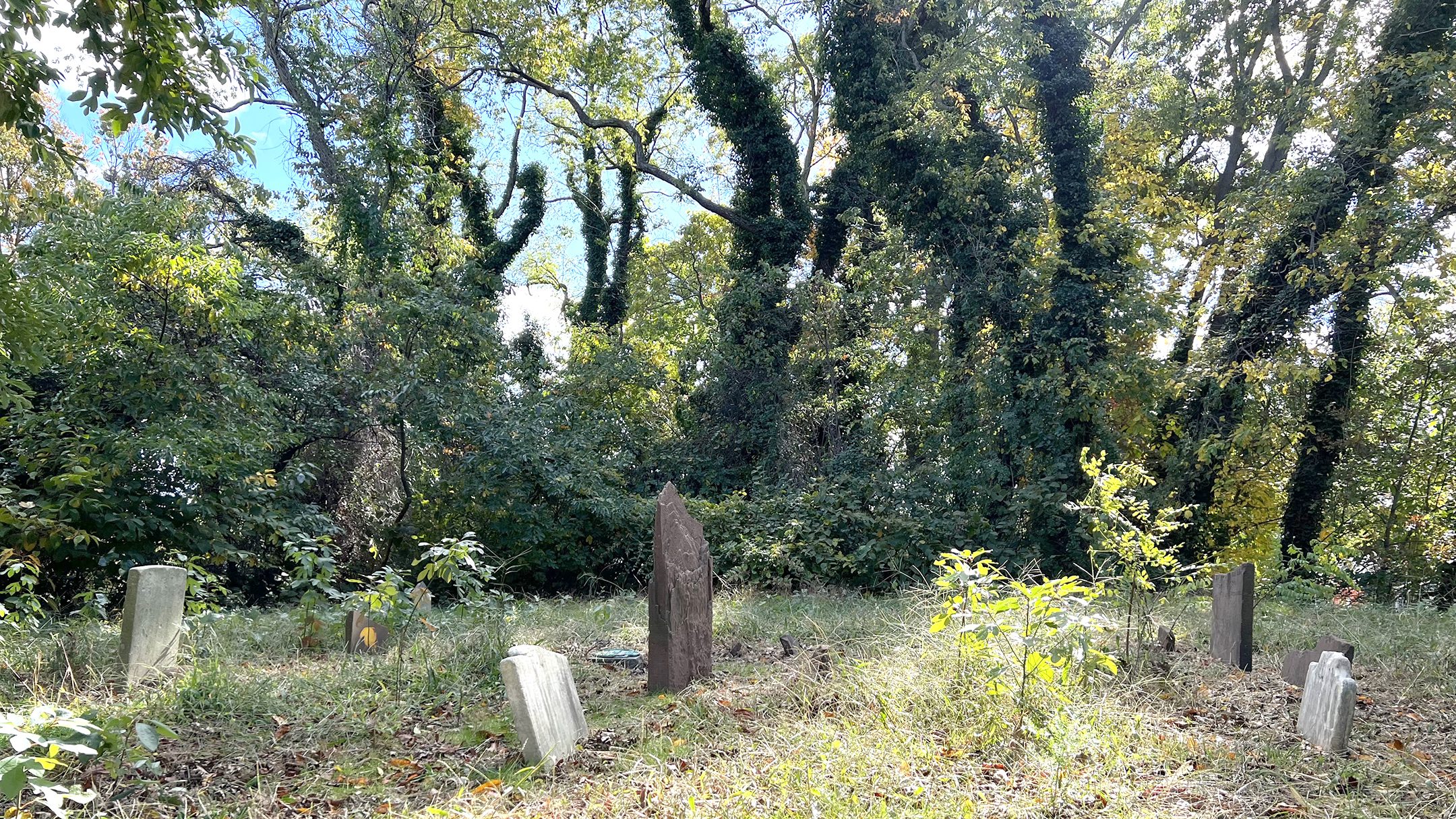 The Applegate Cemetery is overgrown. Volunteers are needed to clean up the plot. Roseann Eteson