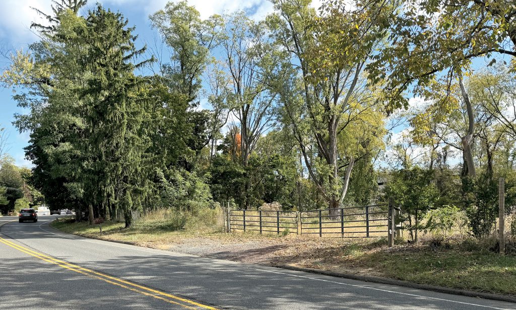 Two mostly wooded properties in Middletown near the border with Holmdel could become high-density housing developments, potentially impacting both townships. Sunayana Prabhu