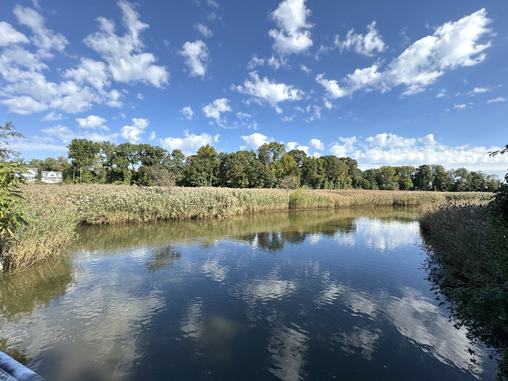 Middletown Township will acquire 17 acres along the Navesink, which sit quietly in the backyard of River Plaza Elementary School, to preserve open space.