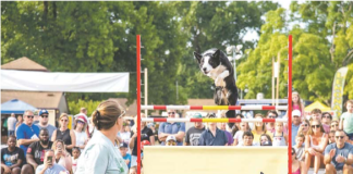 Monmouth County Fair to Celebrate 50 Years of Family Fun