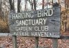 Harding Bird Sanctuary Restoration a Labor of Love for Fair Haven Community