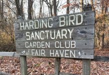Harding Bird Sanctuary Restoration a Labor of Love for Fair Haven Community