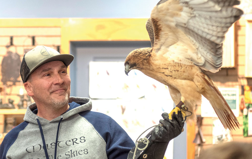 Falconry: An Ancient Sport Meets Modern Times