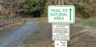 Deer Overpopulation Threatens Fair Haven Fields