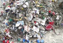 Ocean Health: How Far Have We Come?