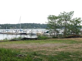 Stevens Institute to Help Plan ‘Living Shoreline’ Design for Fair Haven Park