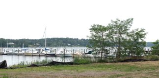 Stevens Institute to Help Plan ‘Living Shoreline’ Design for Fair Haven Park