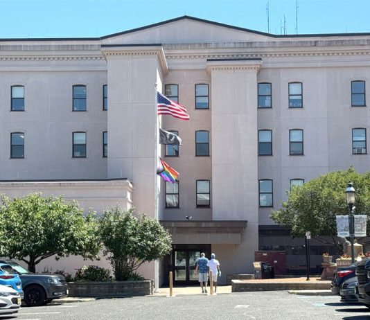 Council OKs Boutique Hotels, ‘Granny Units’ in Red Bank; Bans Data Centers