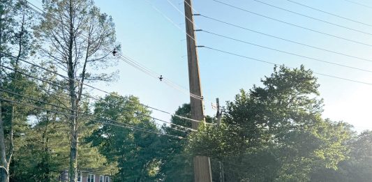 Towering Utility Poles Ruin Holmdel’s Bucolic Look, Mayor Says
