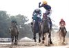 Local Long Shot Holds Off Preakness Winner to Capture Haskell