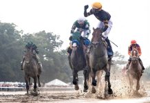 Local Long Shot Holds Off Preakness Winner to Capture Haskell