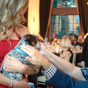 07/09/26, Monmouth County SPCA Fundraiser Transforms Shadowbrook into a Vintage Circus