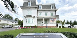 Cultural Center Organizes Democracy Walk