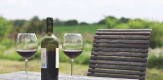 Can Good Wine Be Made in New Jersey?