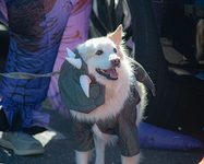 No Tricks, Just Treats at Sea Bright’s Halloween ‘Spooktacular’