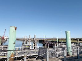 Officials React to NY Waterway Ferry Incident at Belford Terminal